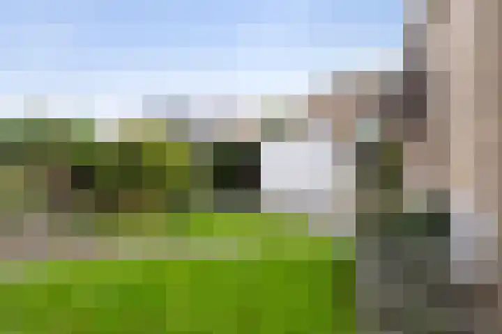De Delte 13 Beetsterzwaag thumbnail 34