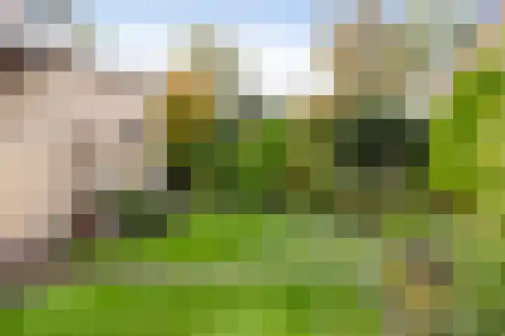 De Delte 13 Beetsterzwaag thumbnail 36