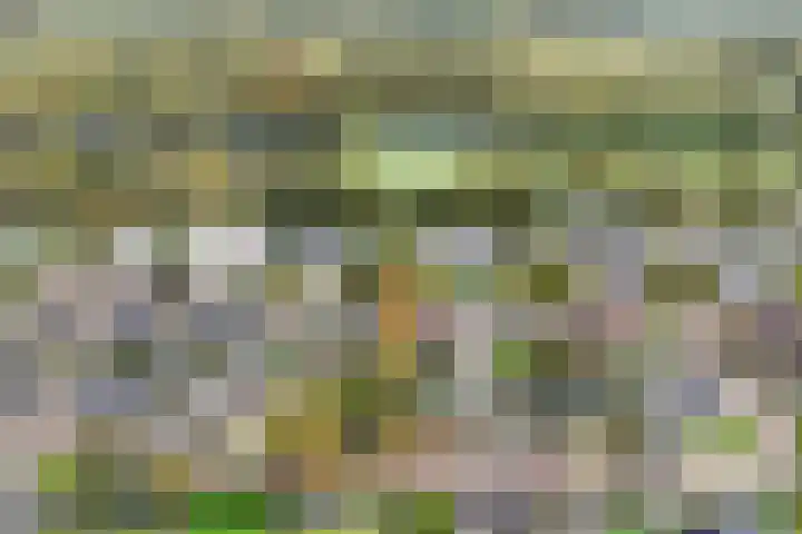 De Delte 13 Beetsterzwaag thumbnail 38