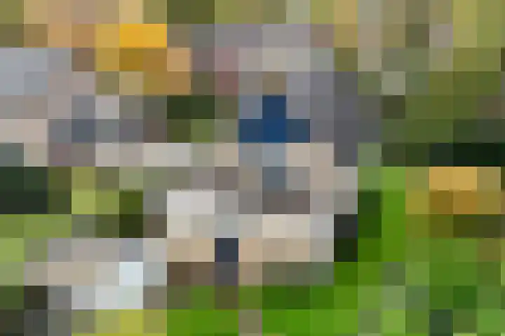 De Delte 13 Beetsterzwaag thumbnail 4