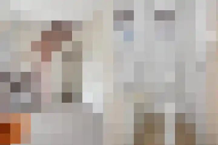 De Delte 13 Beetsterzwaag thumbnail 8