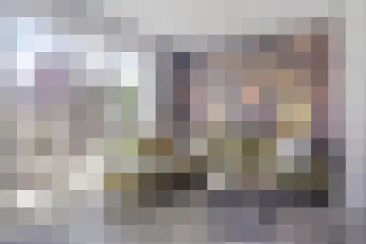 De Demkes 11 Vinkel thumbnail 11