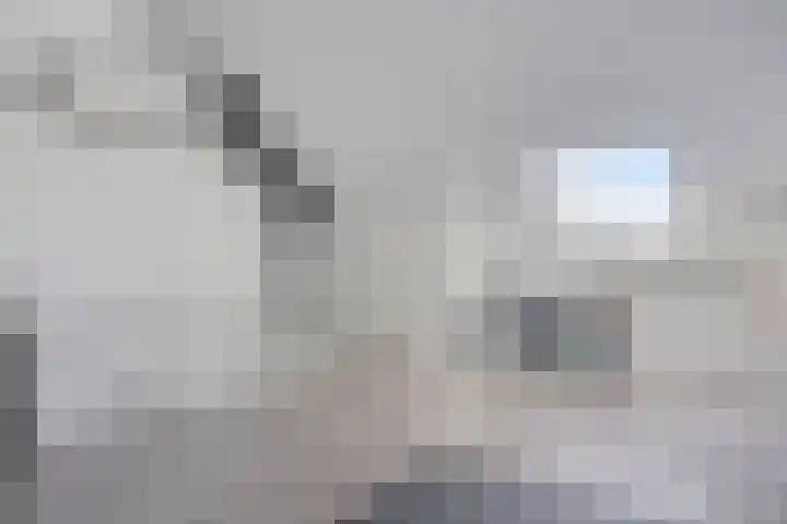 De Demkes 11 Vinkel thumbnail 25