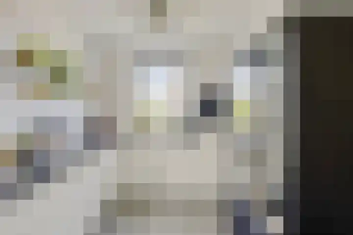 De Demkes 11 Vinkel thumbnail 8