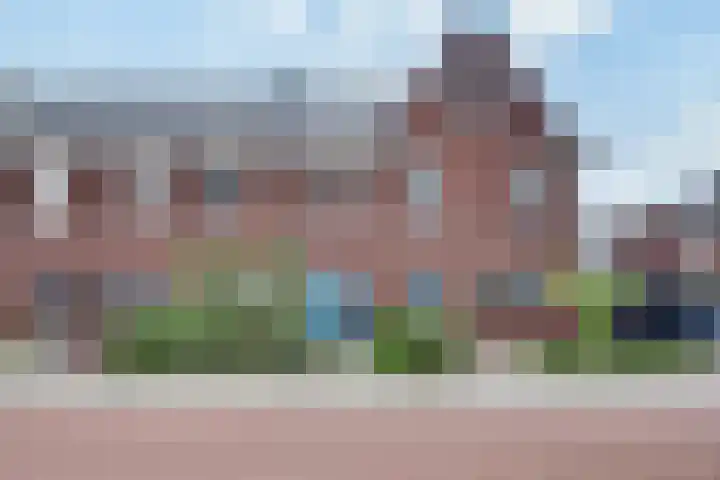De Demkes 2 Vinkel