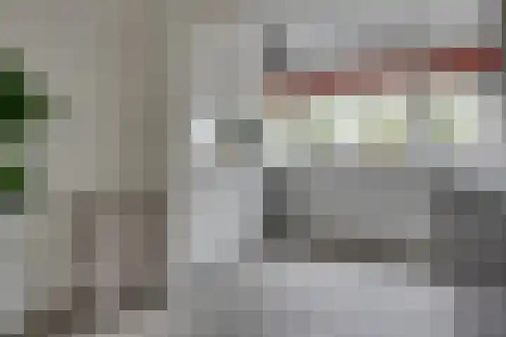 De Demkes 2 Vinkel thumbnail 12