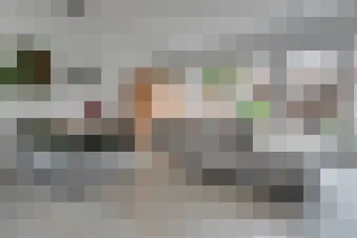 De Demkes 2 Vinkel foto 2