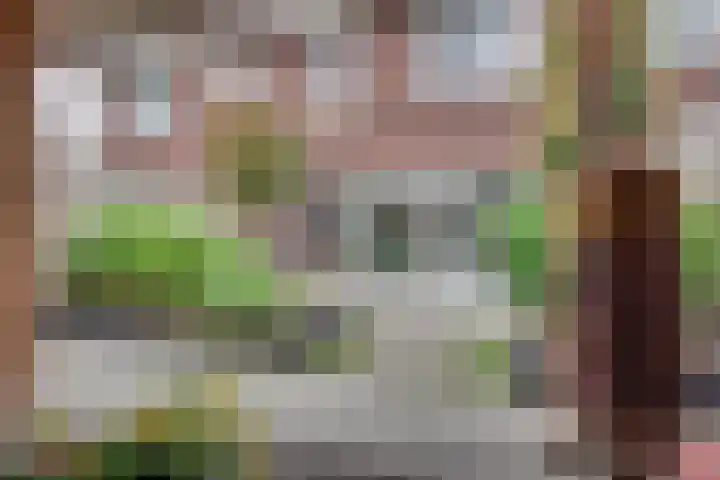 De Demkes 2 Vinkel thumbnail 27