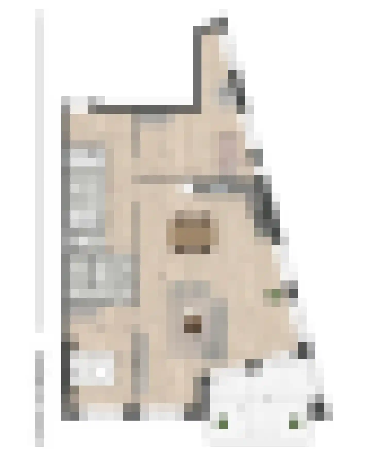 De Dempostraat 2 Vlissingen thumbnail 4