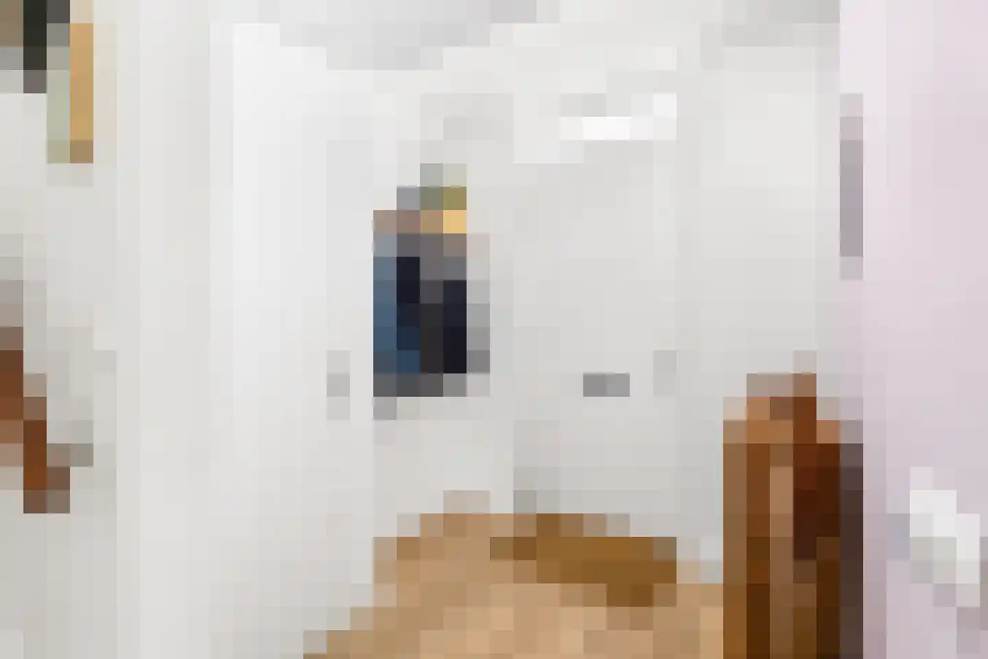 De Dempostraat 21 Vlissingen thumbnail 14
