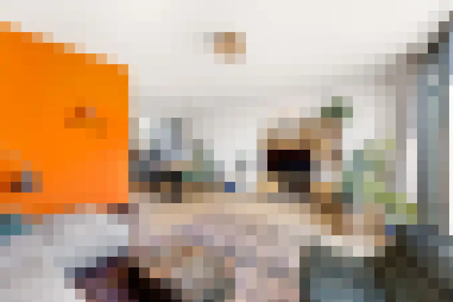 De Dempostraat 21 Vlissingen thumbnail 19
