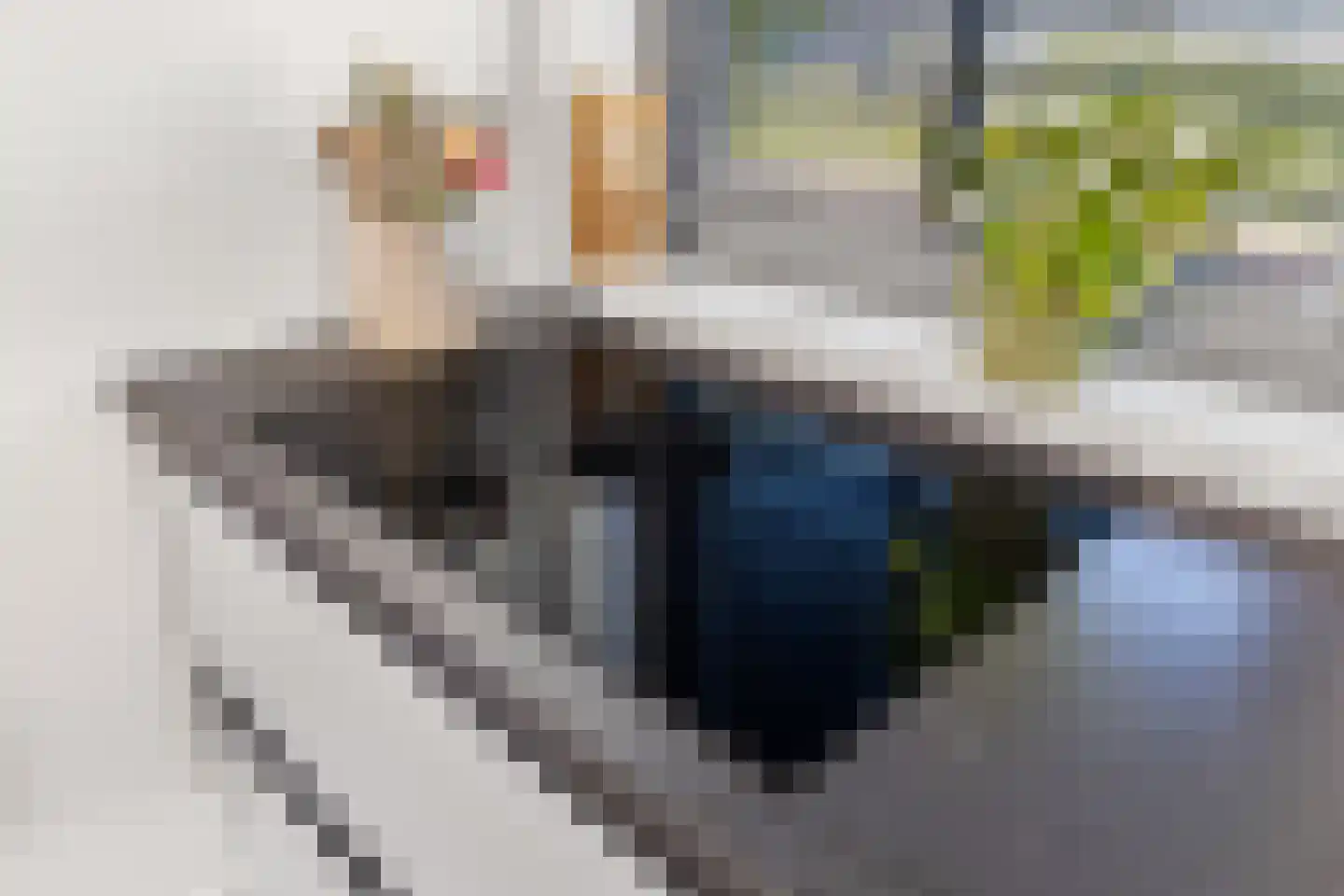 De Dempostraat 21 Vlissingen thumbnail 22