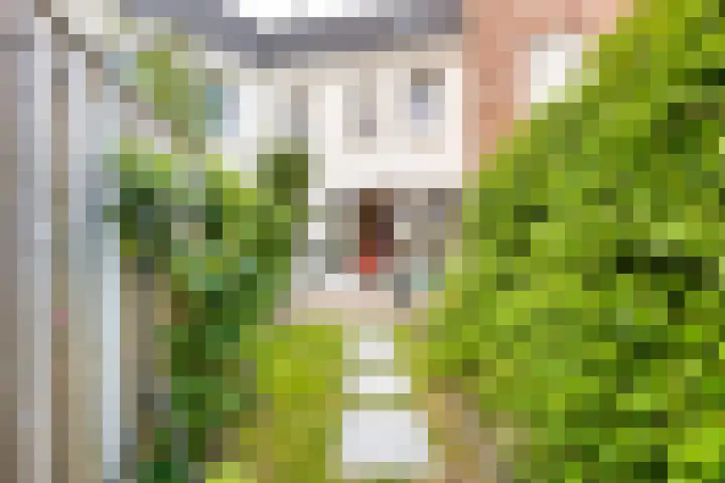 De Dempostraat 35 Vlissingen thumbnail 20