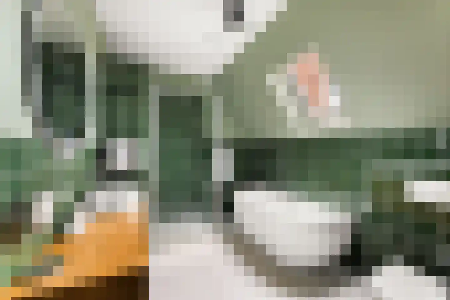 De Dempostraat 35 Vlissingen thumbnail 40