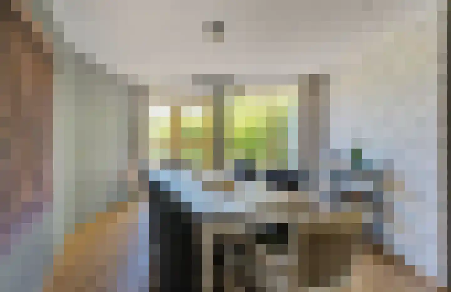De Dennen 138 Bussum thumbnail 18