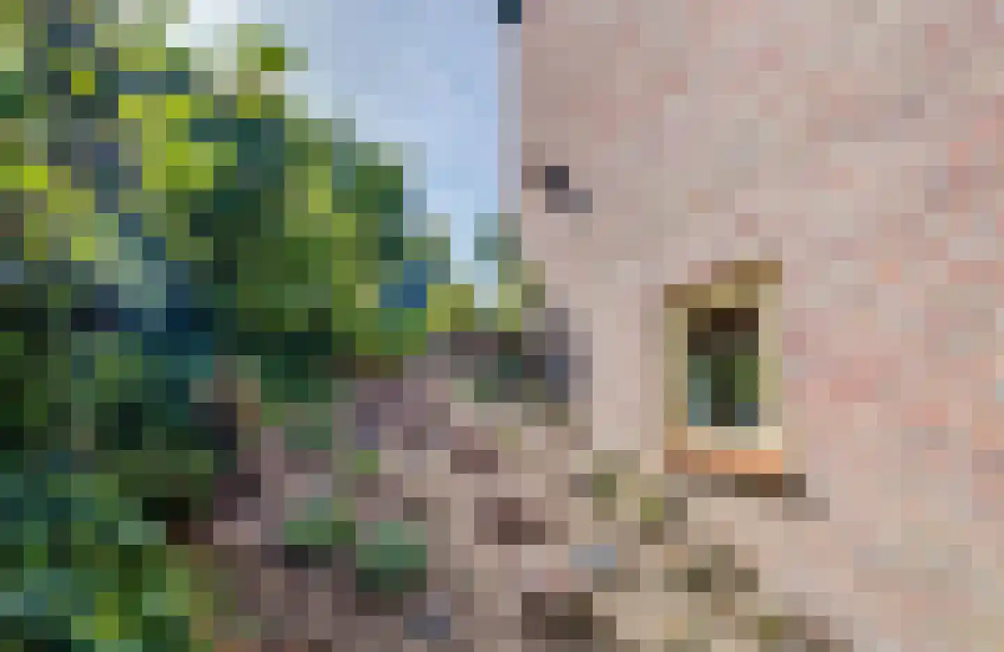De Dennen 138 Bussum thumbnail 25