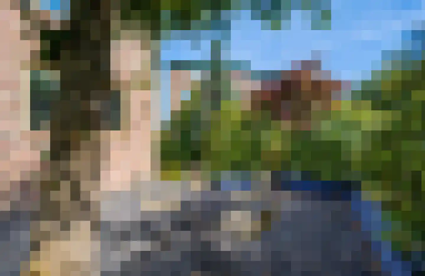 De Dennen 138 Bussum thumbnail 28