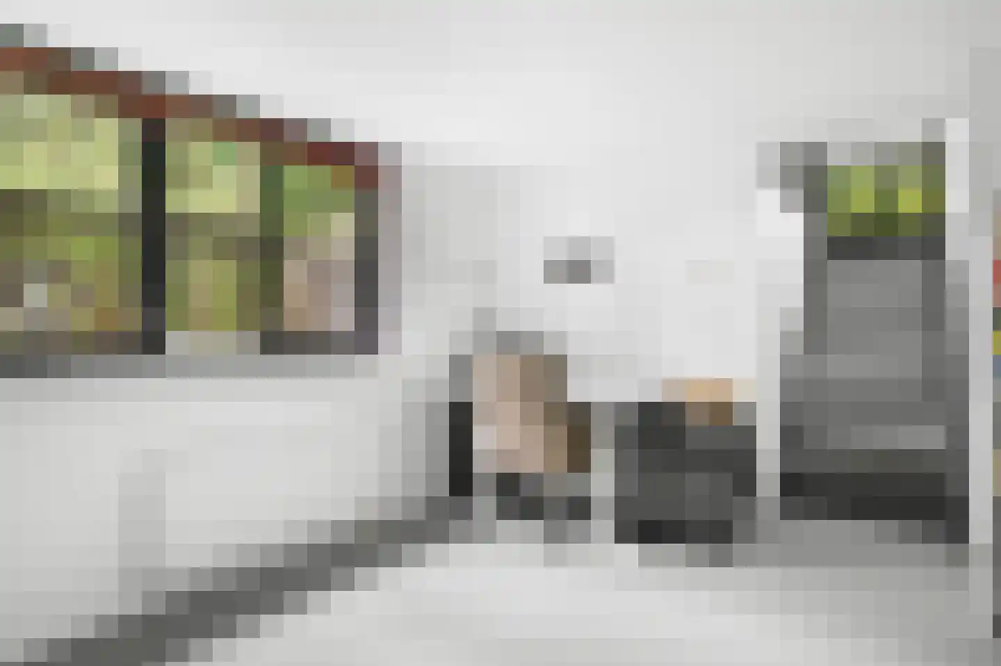 De Dennenhoek 10 Diepenveen thumbnail 17