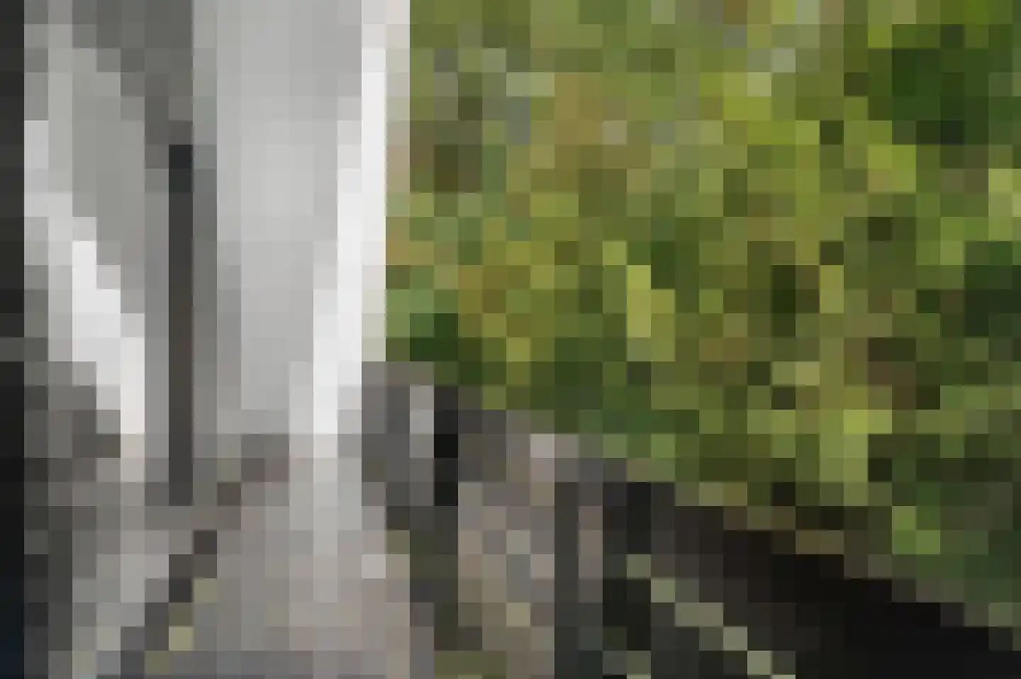 De Dennenhoek 10 Diepenveen thumbnail 30