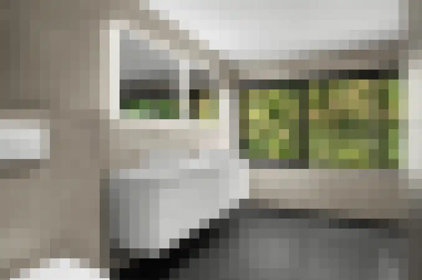 De Dennenhoek 10 Diepenveen thumbnail 31