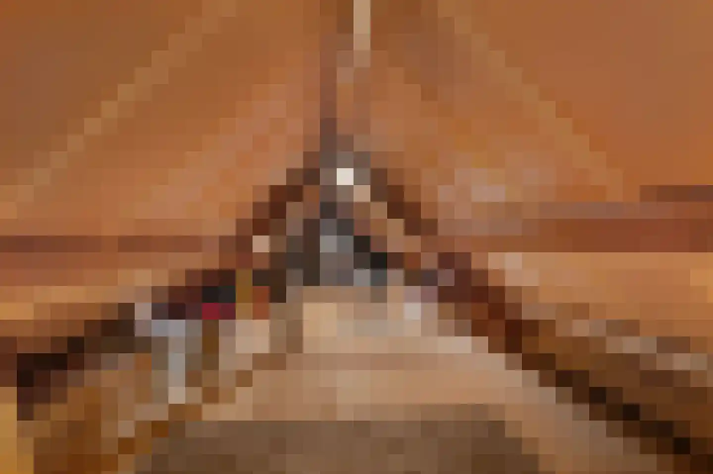 De Dennenhoek 10 Diepenveen thumbnail 37