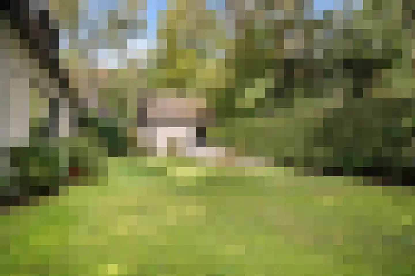 De Dennenhoek 10 Diepenveen thumbnail 40