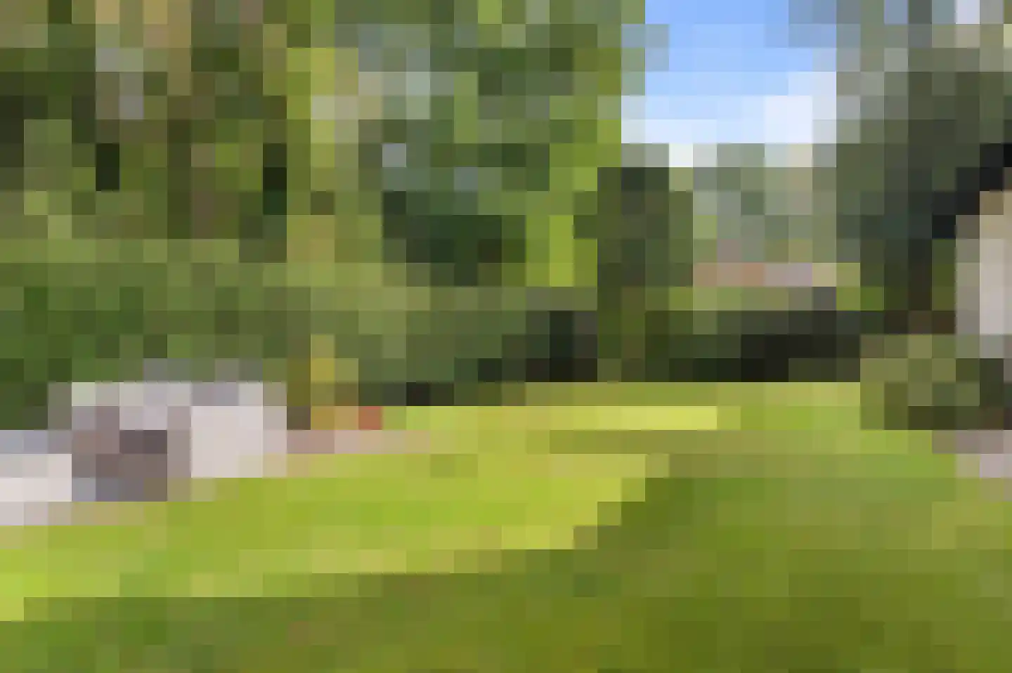 De Dennenhoek 10 Diepenveen thumbnail 44