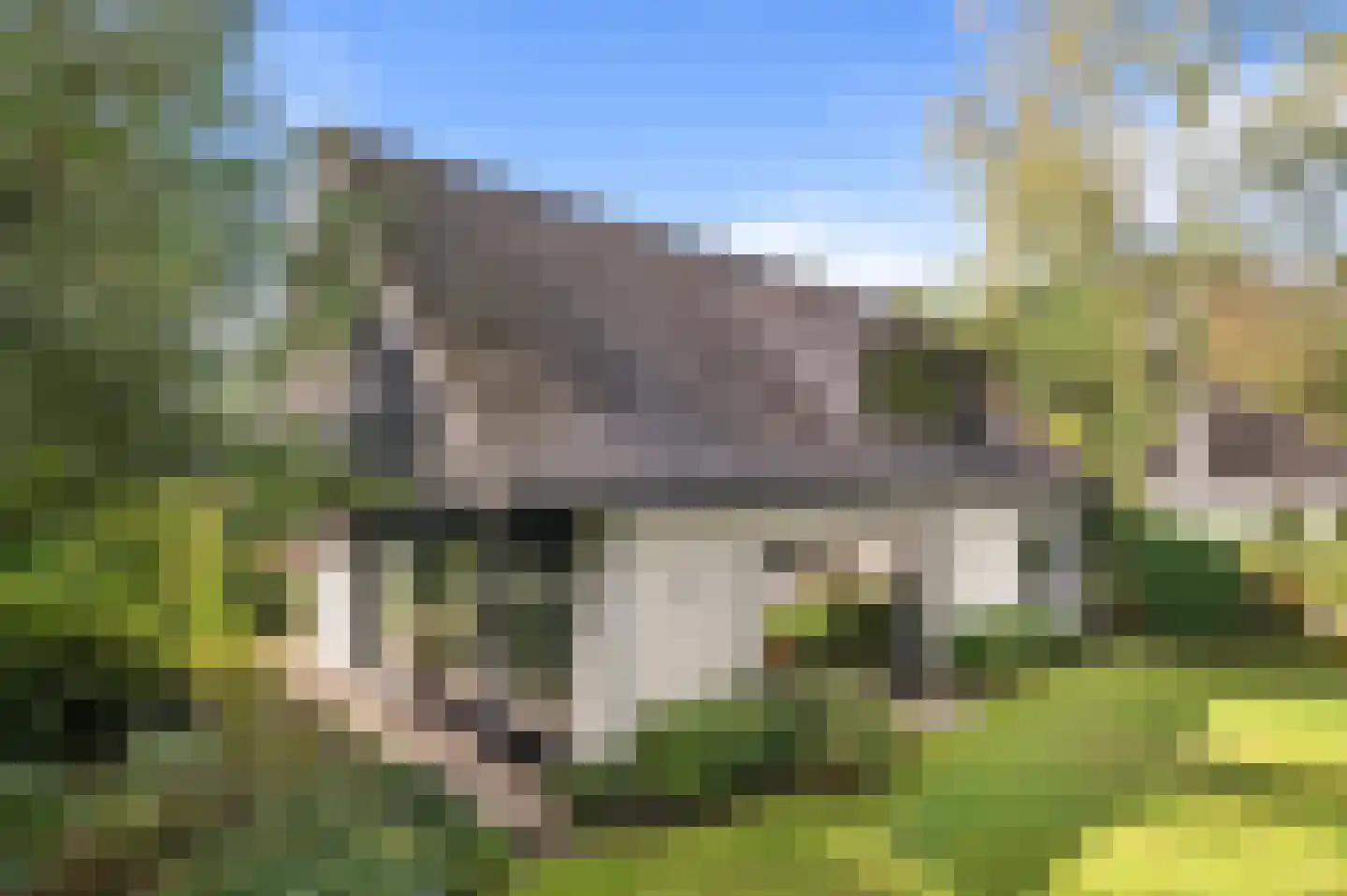De Dennenhoek 10 Diepenveen thumbnail 45
