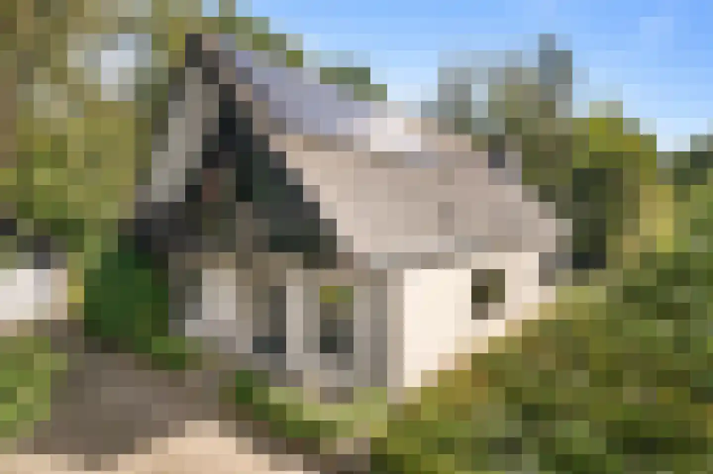 De Dennenhoek 10 Diepenveen thumbnail 50