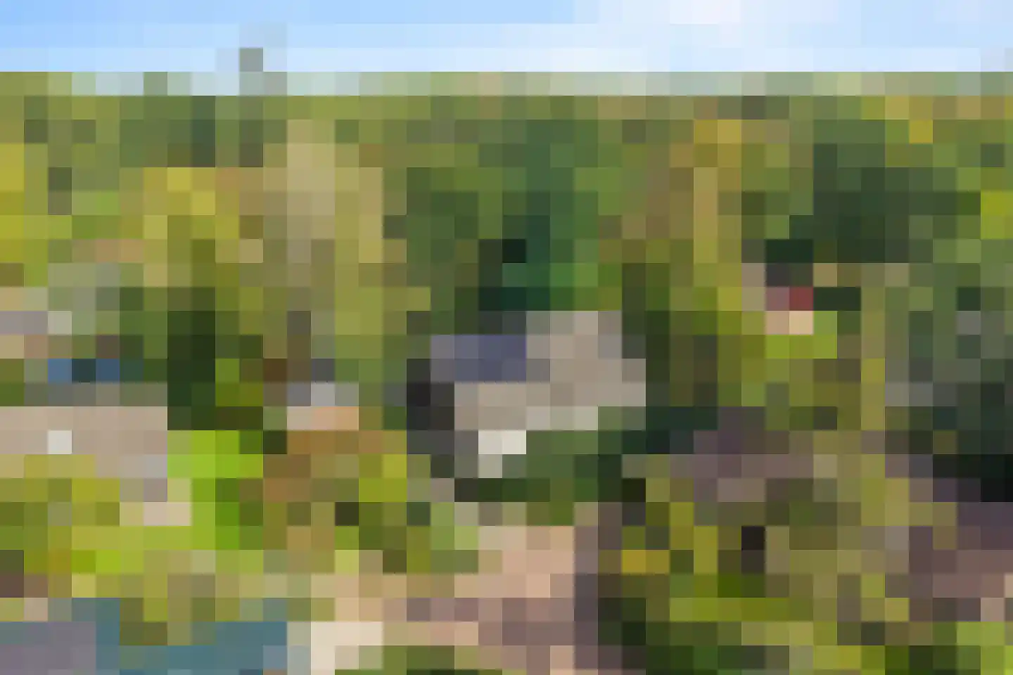 De Dennenhoek 10 Diepenveen thumbnail 51