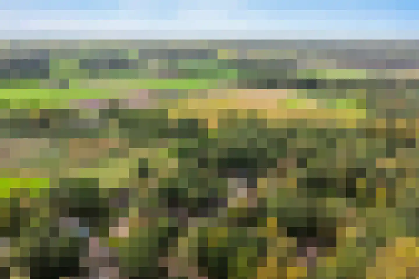 De Dennenhoek 10 Diepenveen thumbnail 52