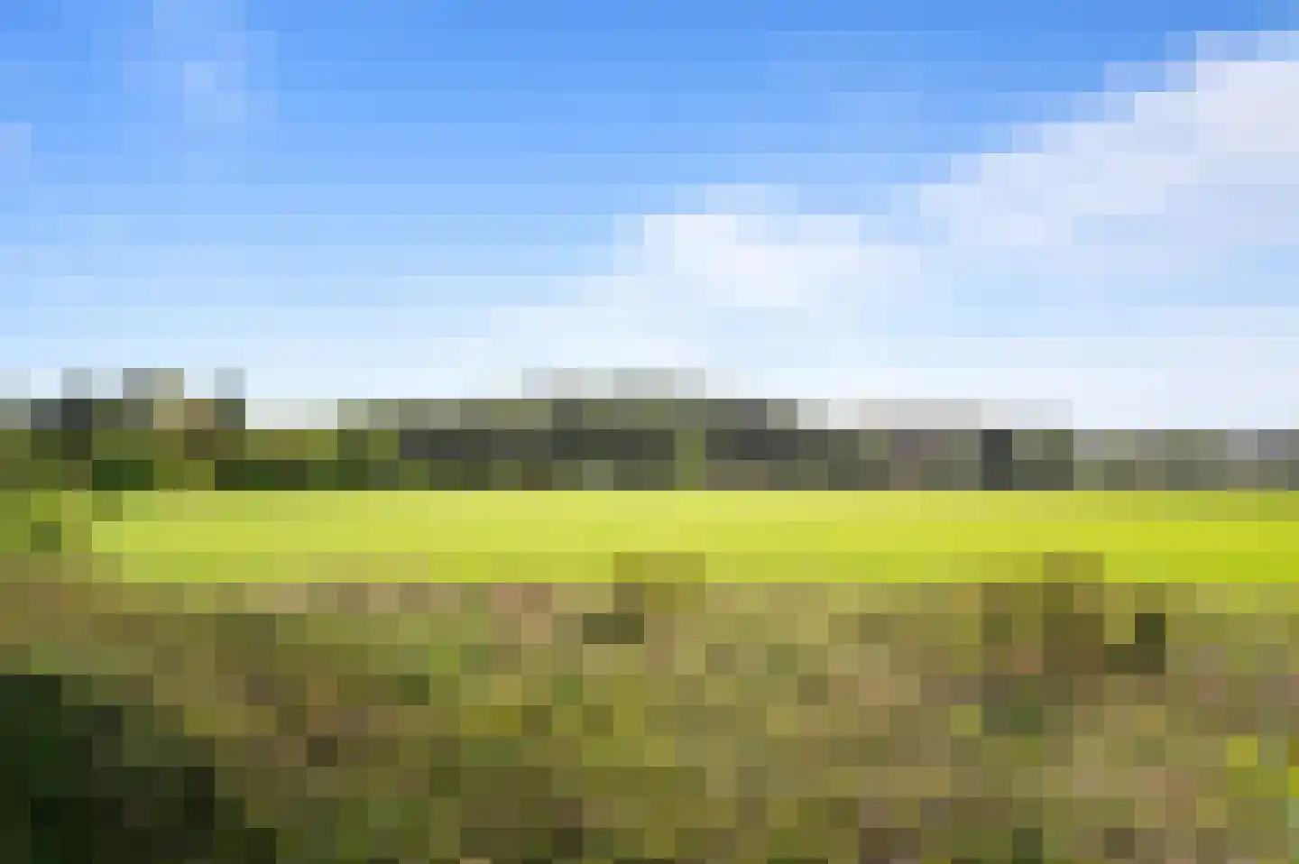 De Dennenhoek 10 Diepenveen thumbnail 53
