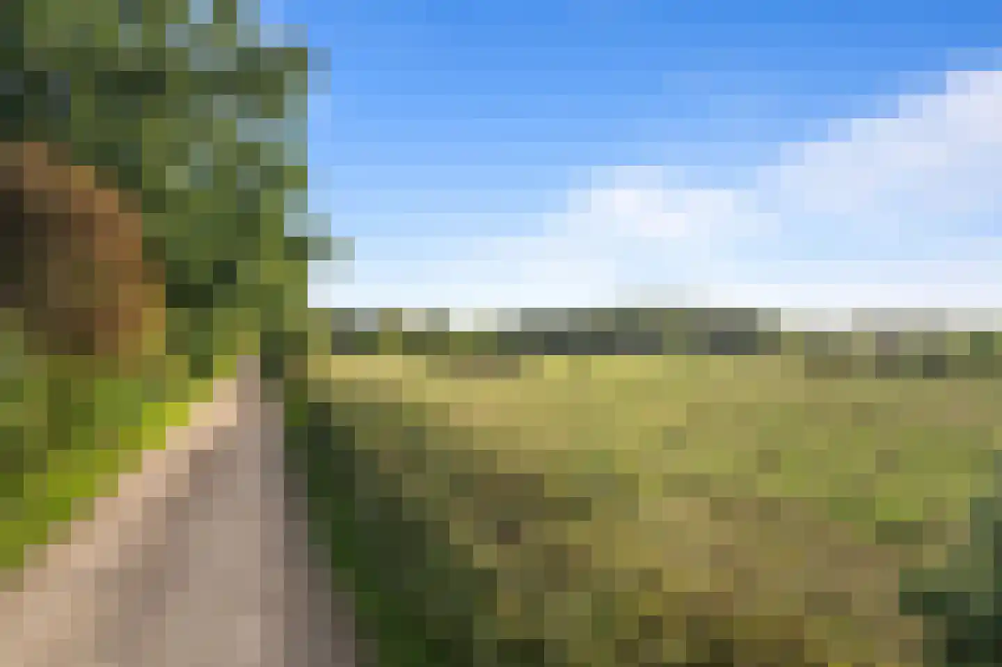 De Dennenhoek 10 Diepenveen thumbnail 54