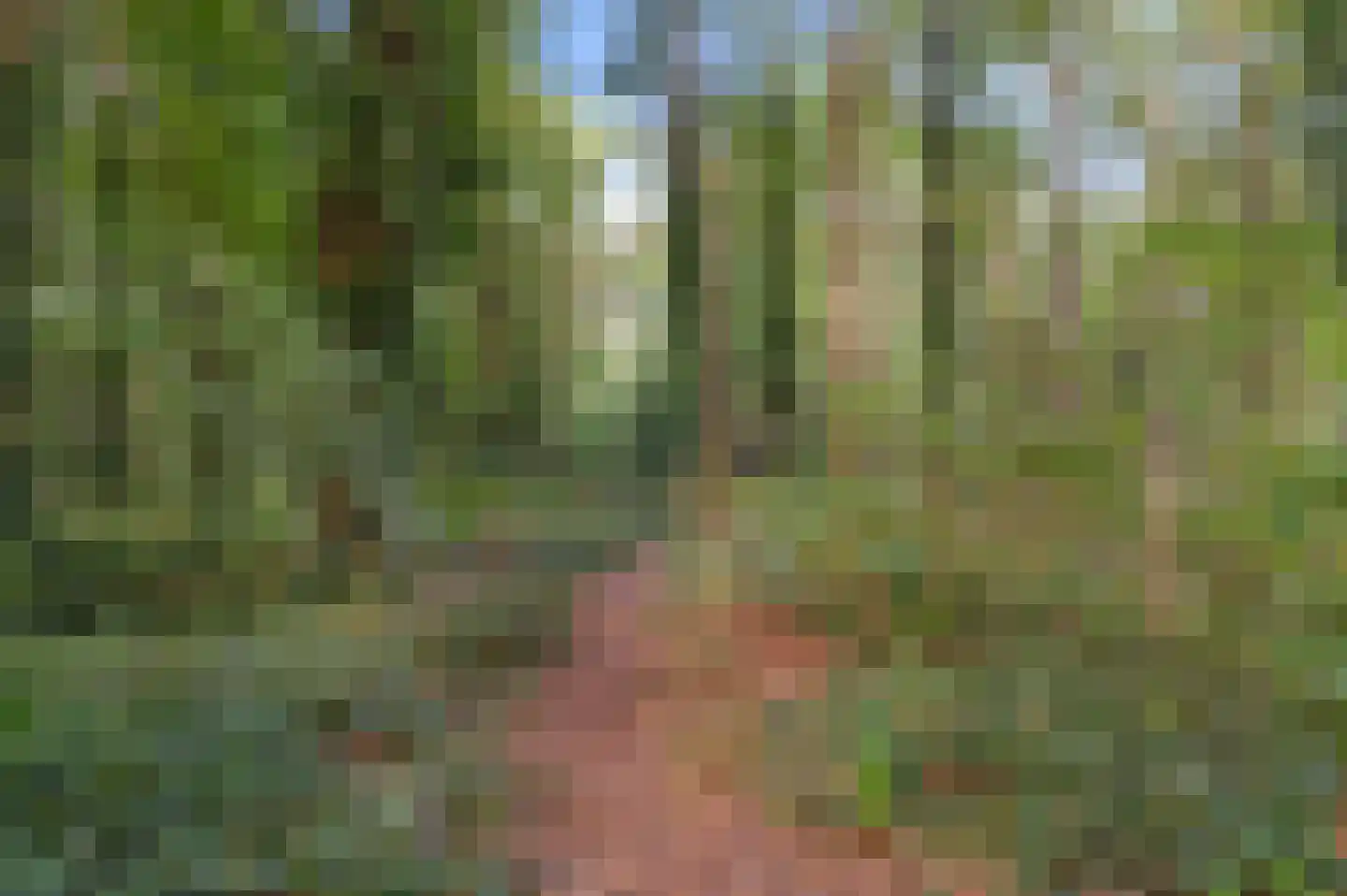 De Dennenhoek 10 Diepenveen thumbnail 55