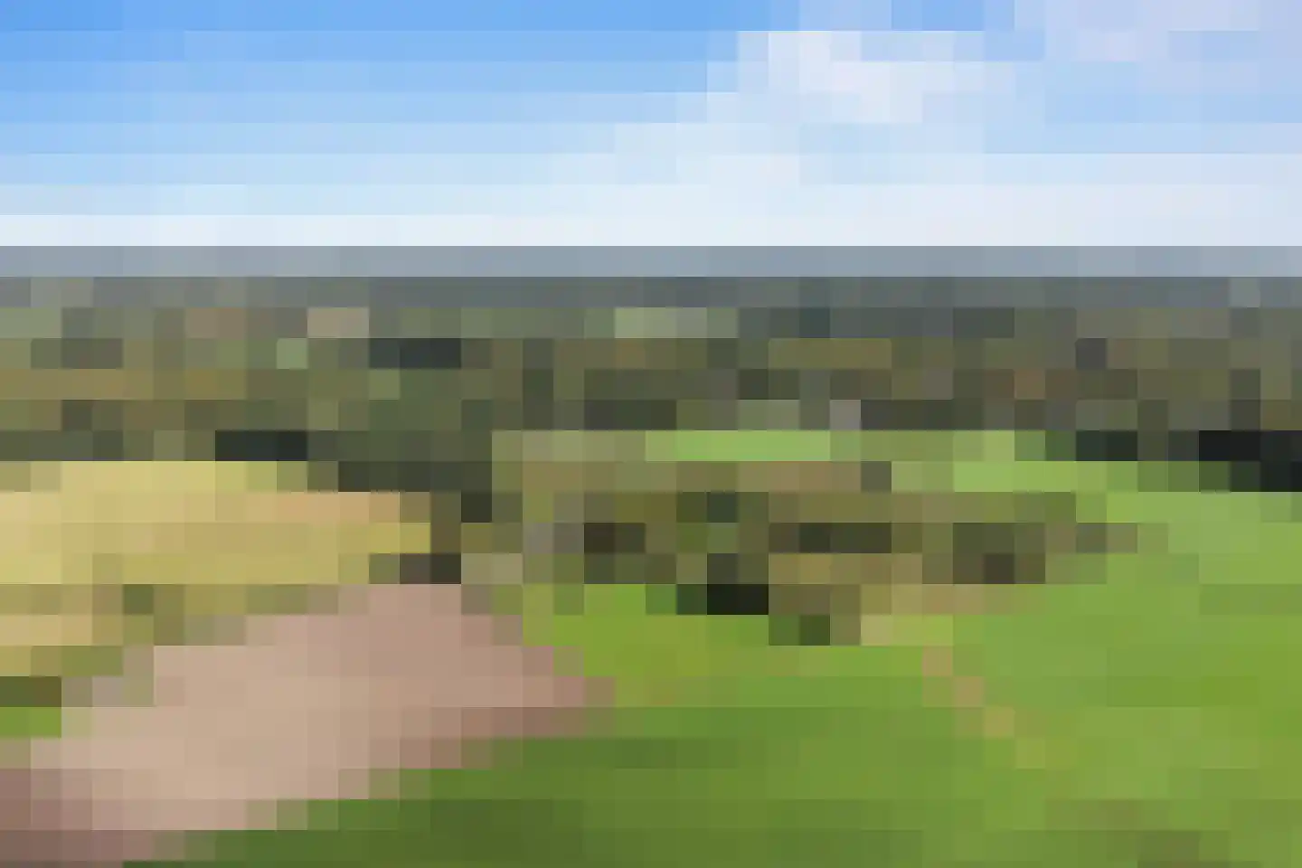 De Dennenhoek 10 Diepenveen thumbnail 56