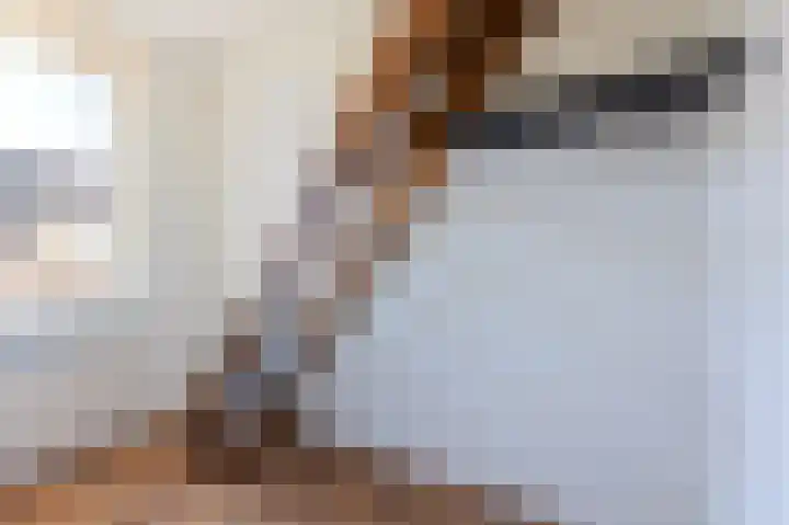 De Dentele 23 Westerland thumbnail 23