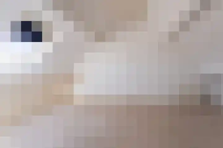 De Dentele 23 Westerland thumbnail 25