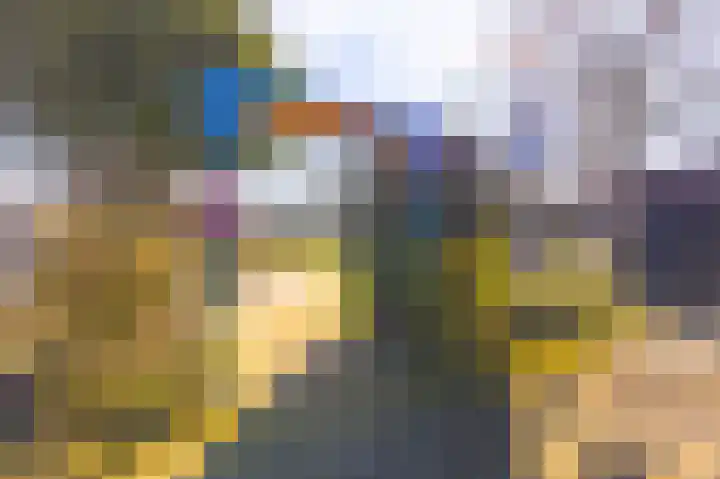 De Dentele 23 Westerland thumbnail 28