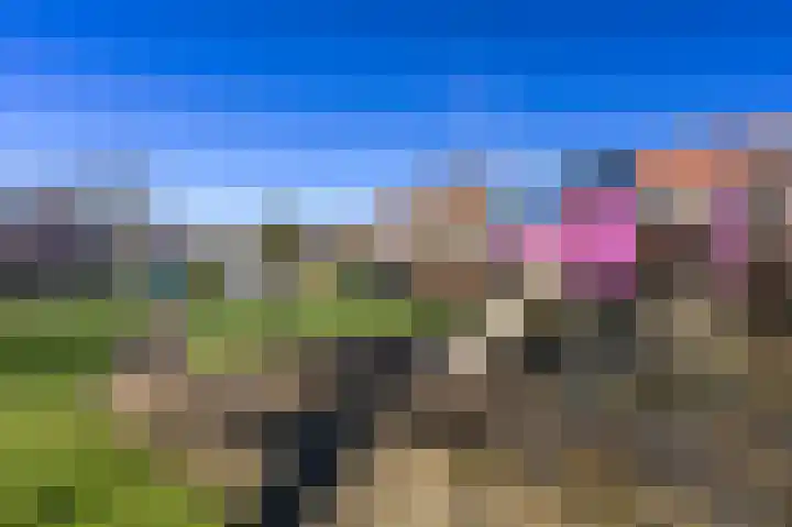 De Dentele 23 Westerland thumbnail 29