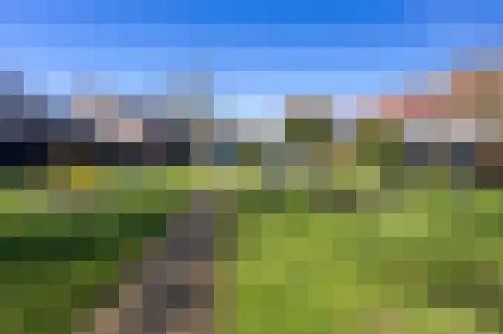 De Dentele 23 Westerland thumbnail 30