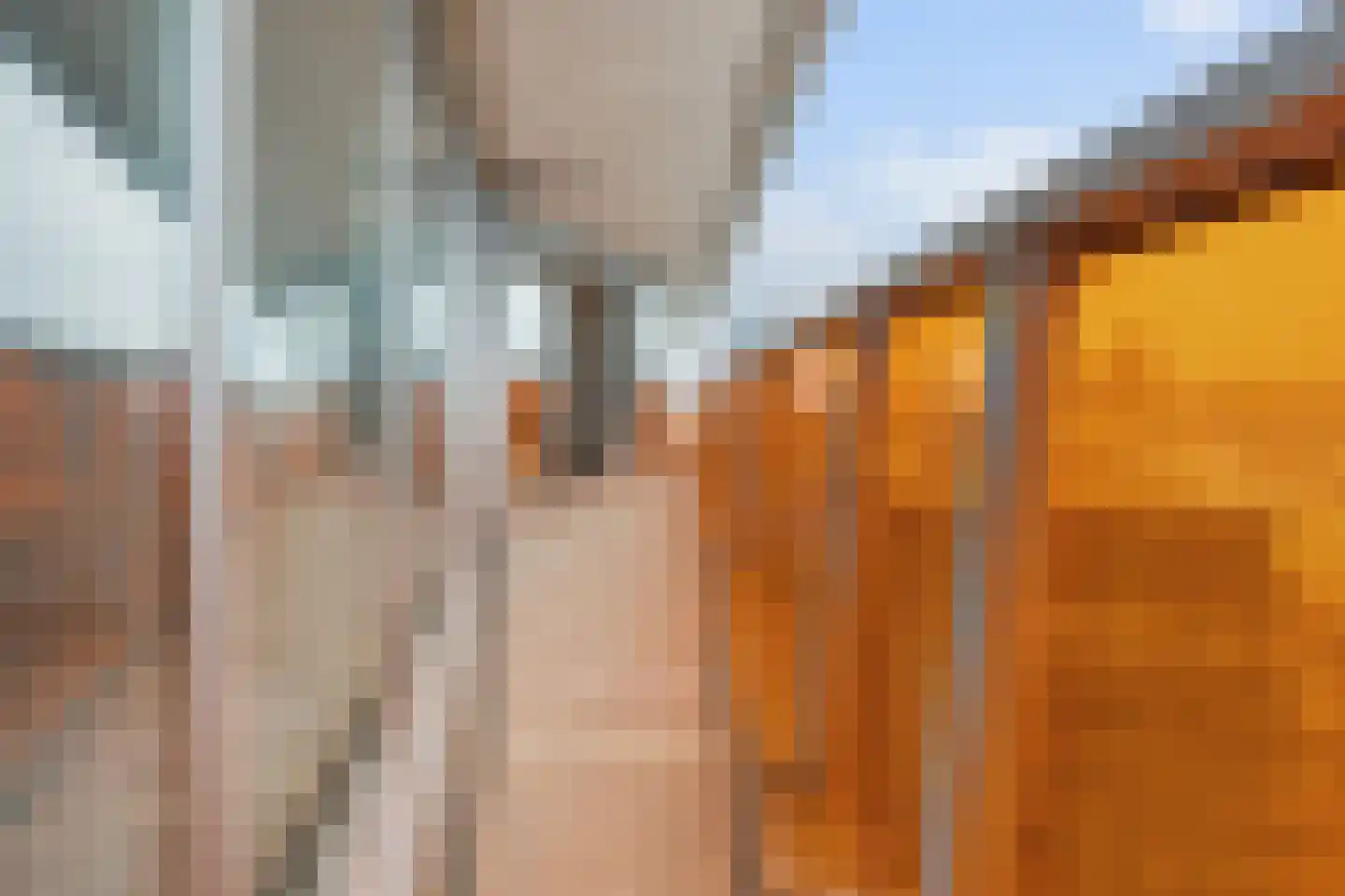 De Diagonaal 115 Almere thumbnail 11