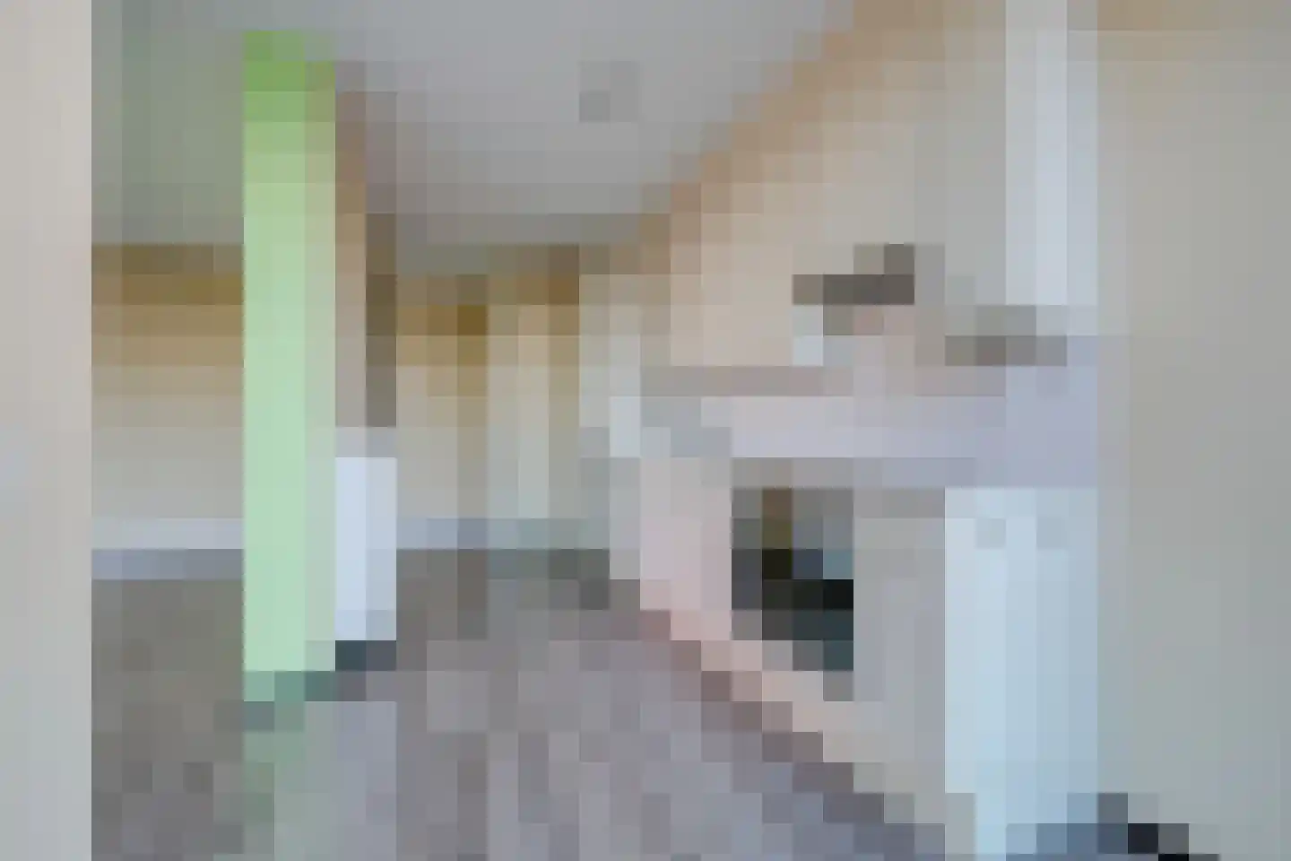 De Diagonaal 59 Almere thumbnail 14