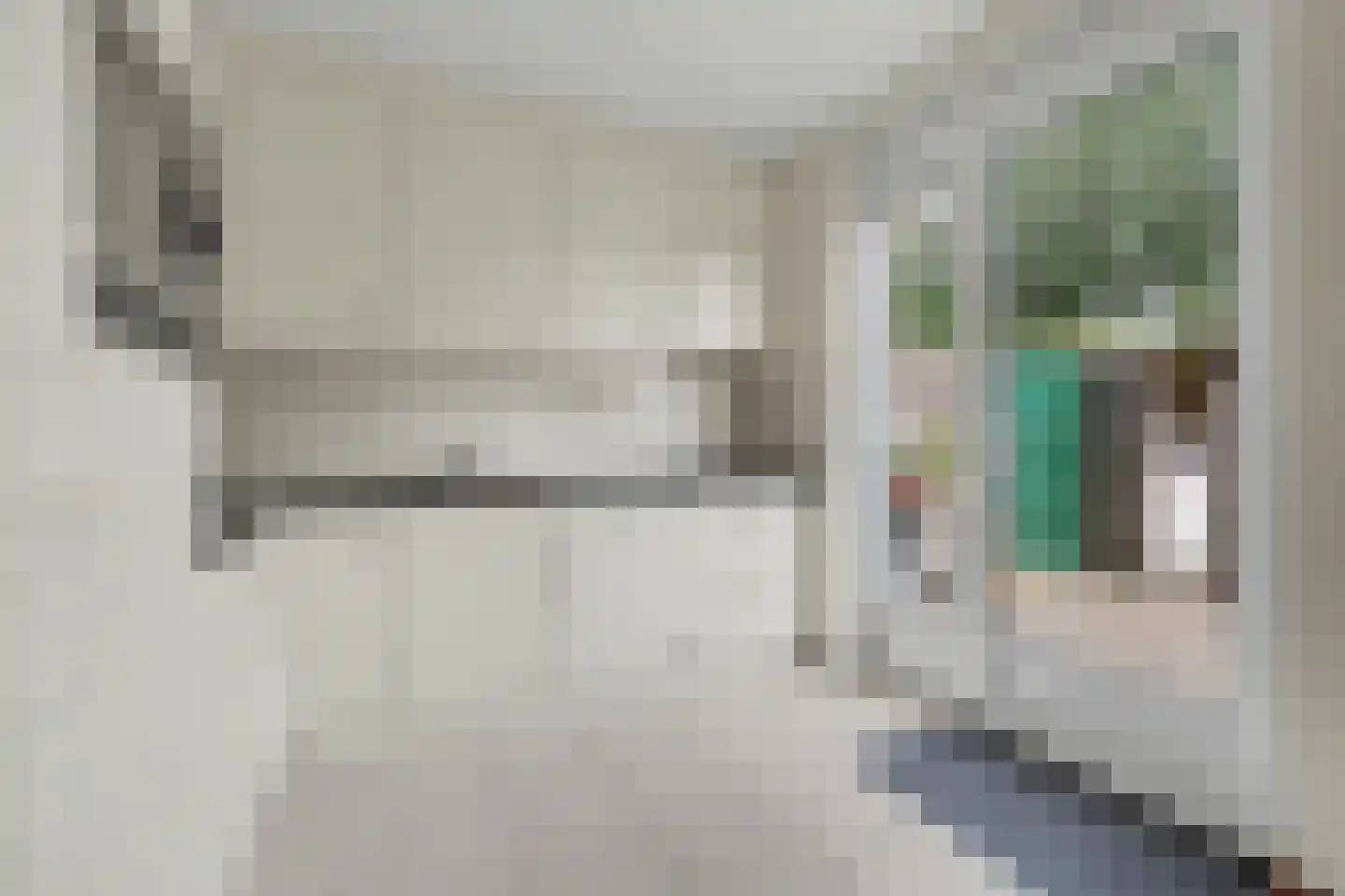 De Dieze 1 Goirle thumbnail 15