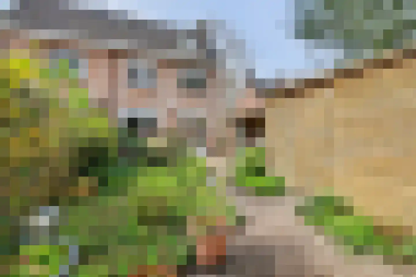 De Dieze 1 Goirle foto 2