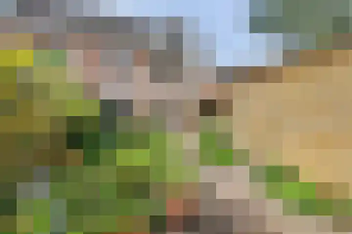 De Dieze 1 Goirle foto 2