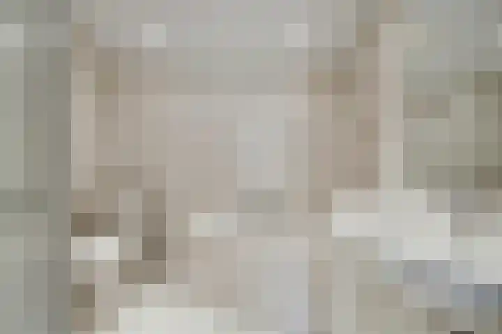 De Dieze 1 Goirle thumbnail 25