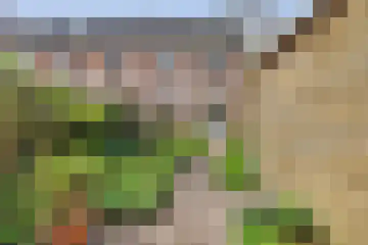 De Dieze 1 Goirle thumbnail 35