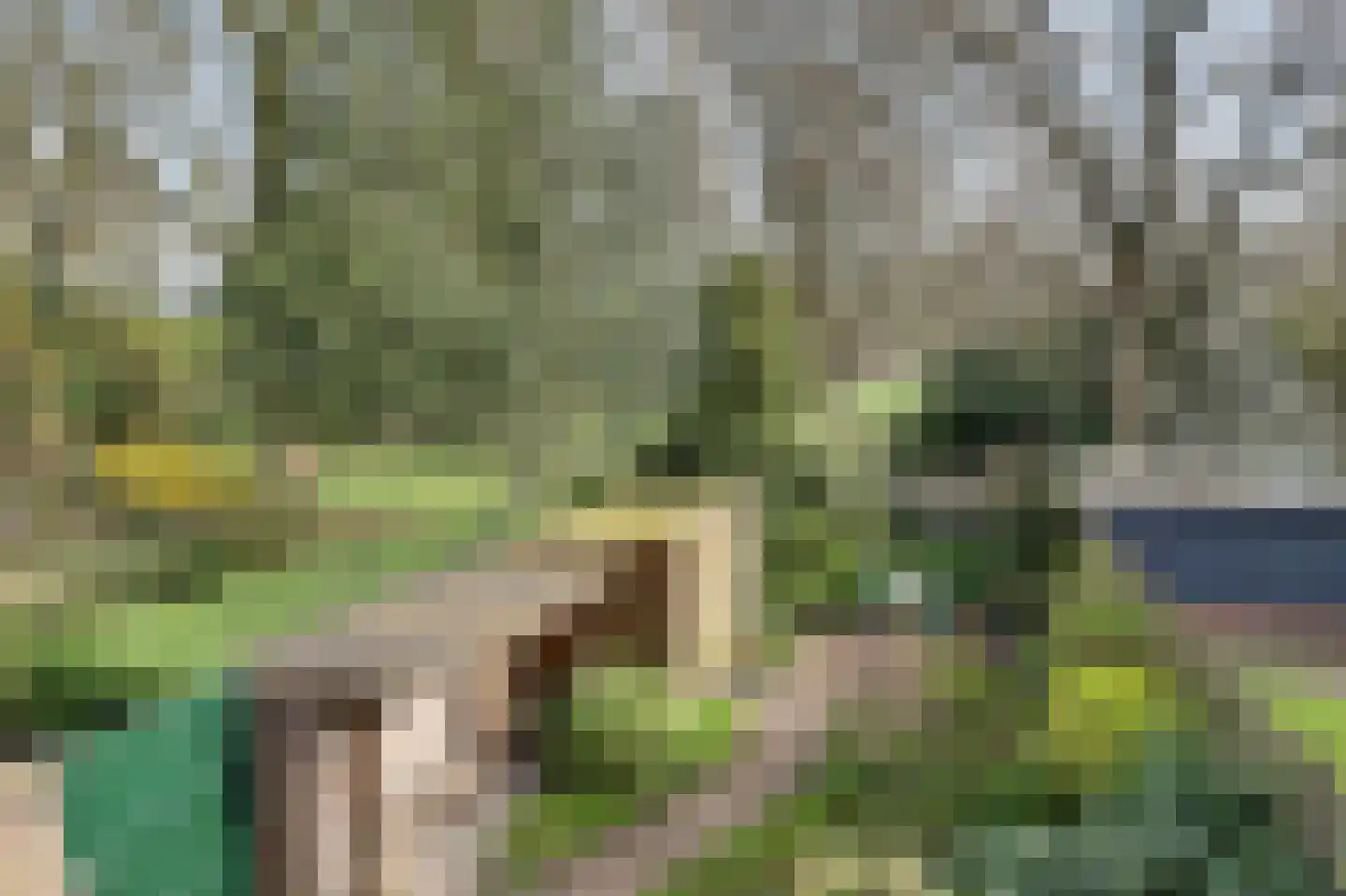 De Dieze 1 Goirle thumbnail 36
