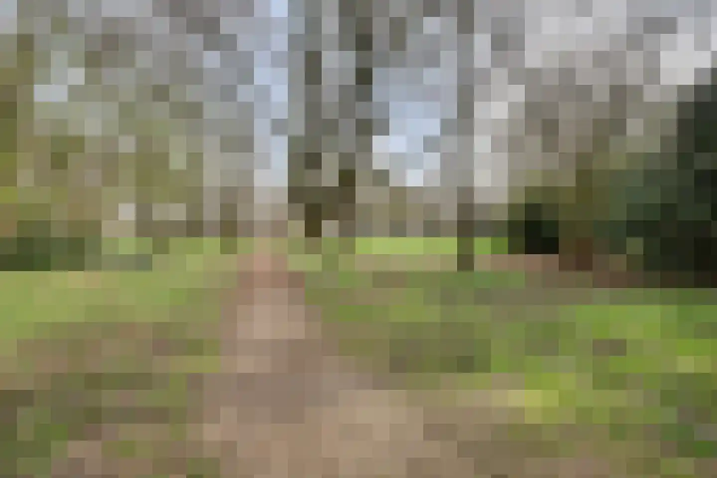 De Dieze 1 Goirle thumbnail 37