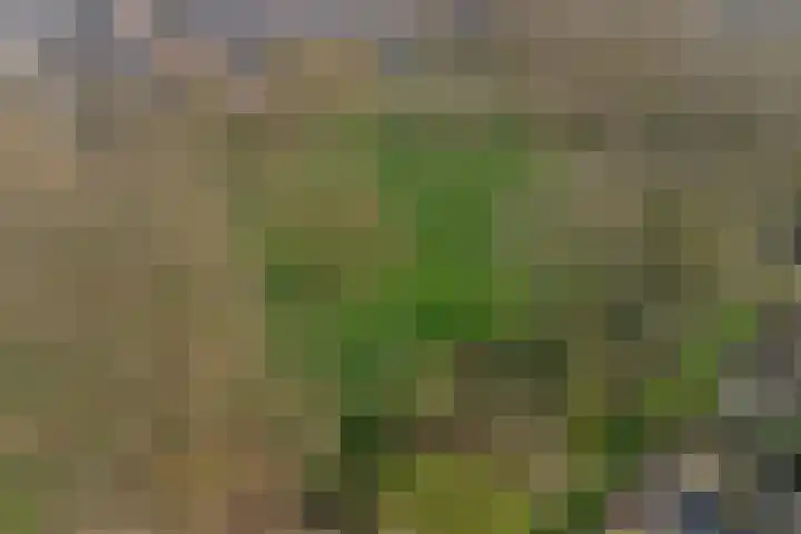 De Dieze 1 Goirle thumbnail 39